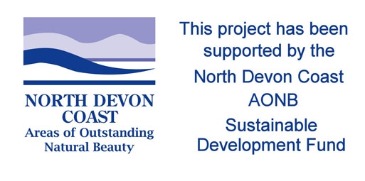 New accessible, interactive video display