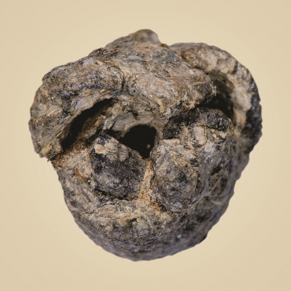 Tin equals treasure for Bronze Age finds