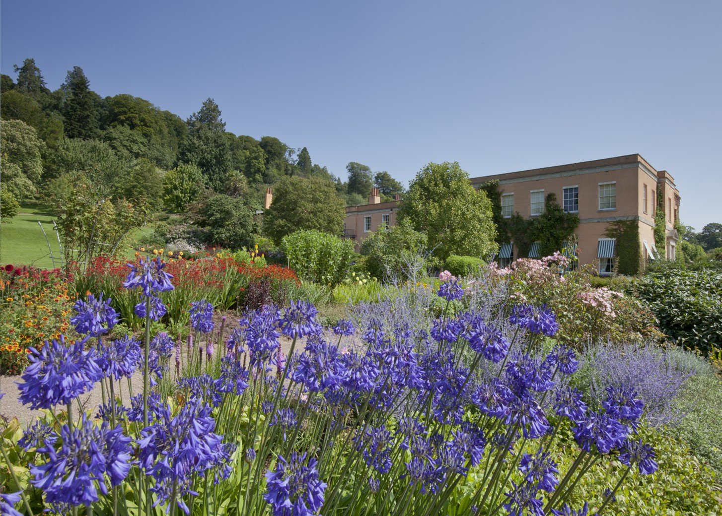Killerton House